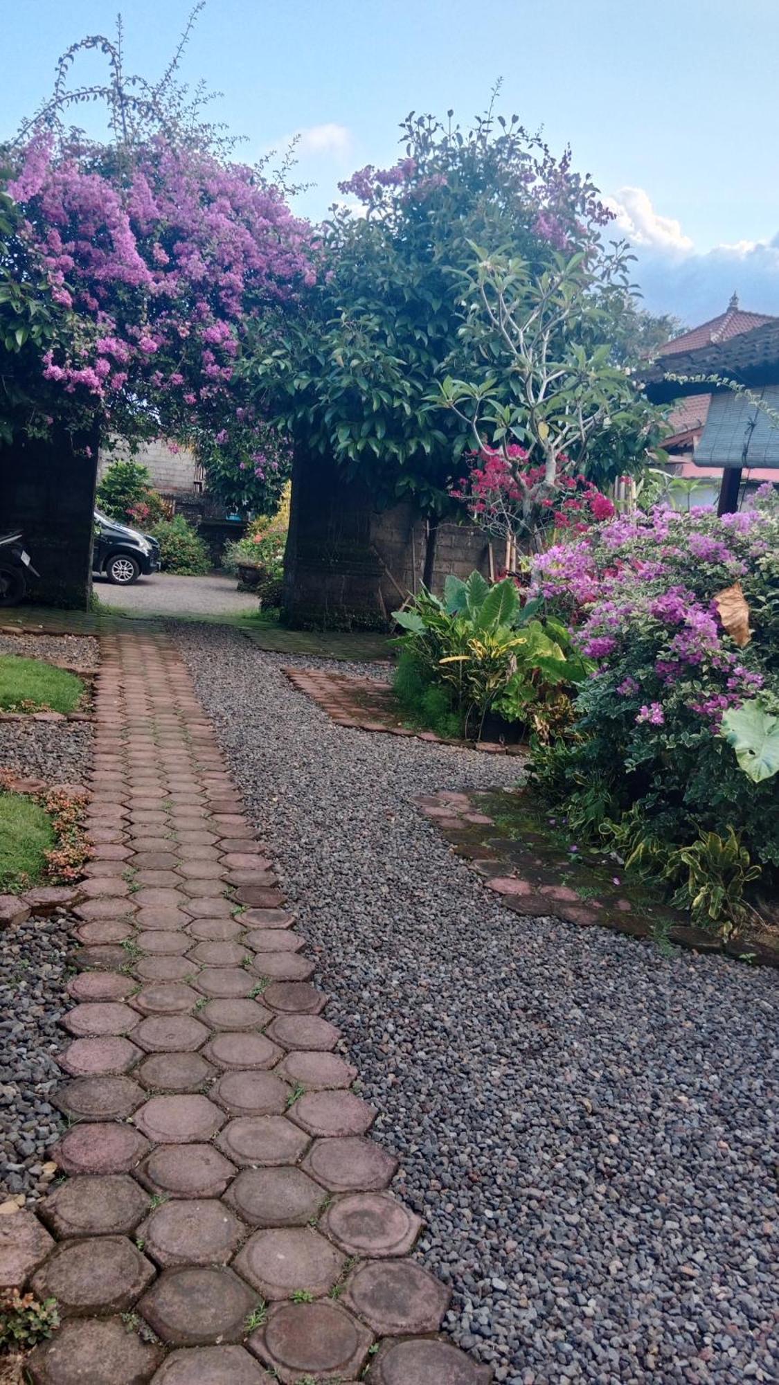 Hause market Sidemen  Rom bilde
